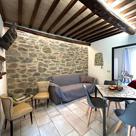 Antico Olivo Tuoro sul Trasimeno